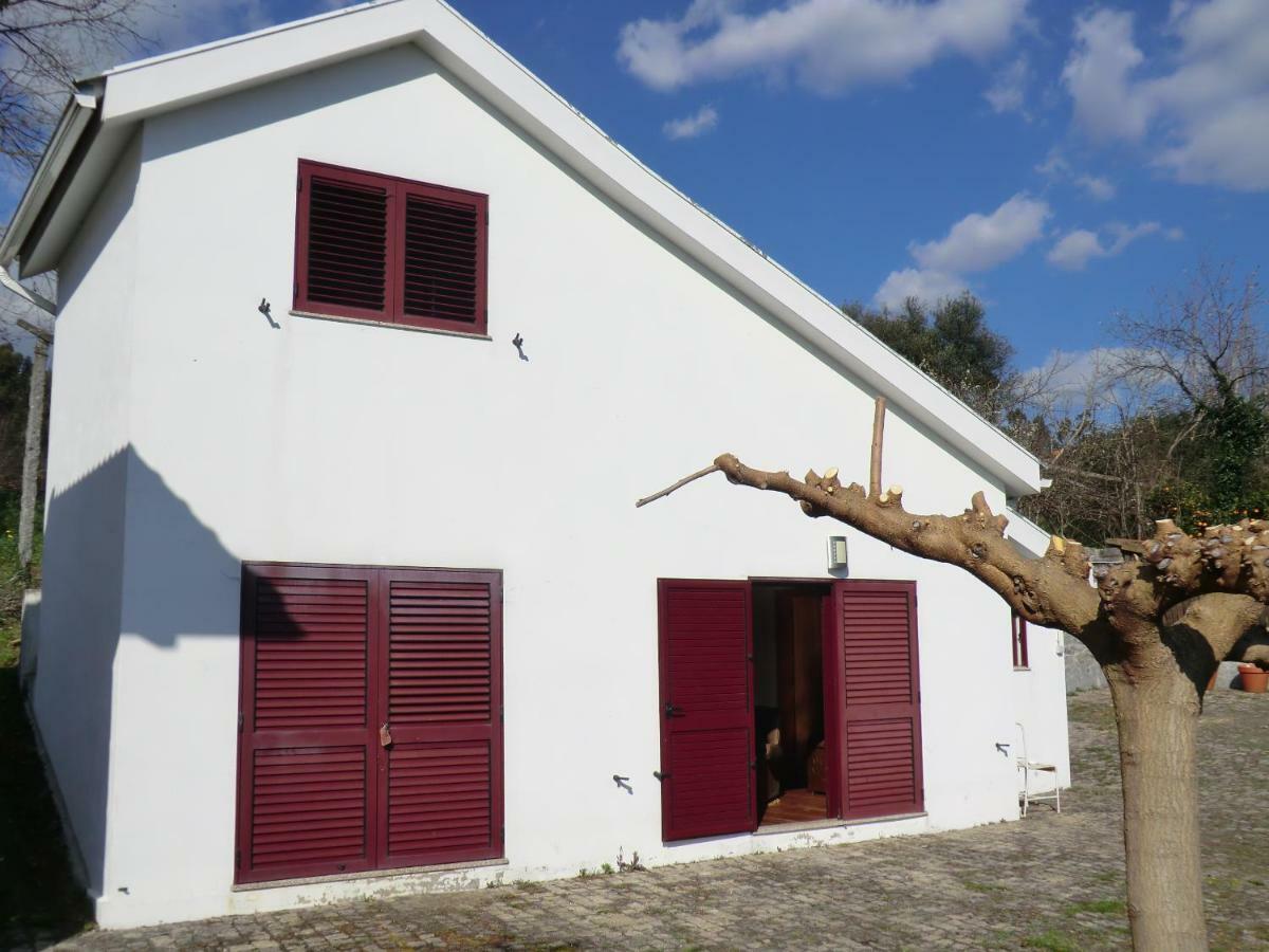 Vianashome Amarante Exterior foto